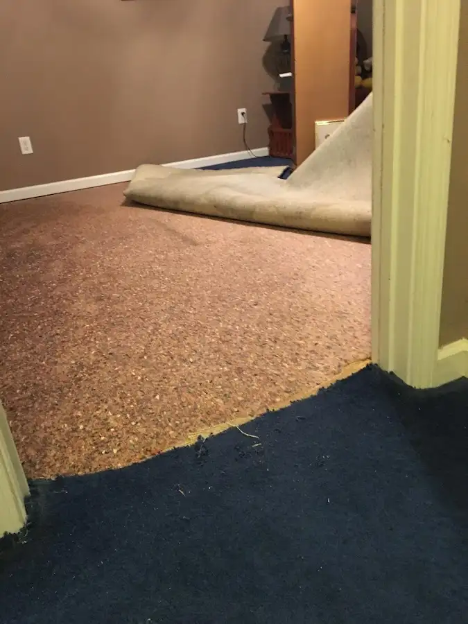 Carpet pad removal revealing water damage during Drying & Dehumidification in Geneva