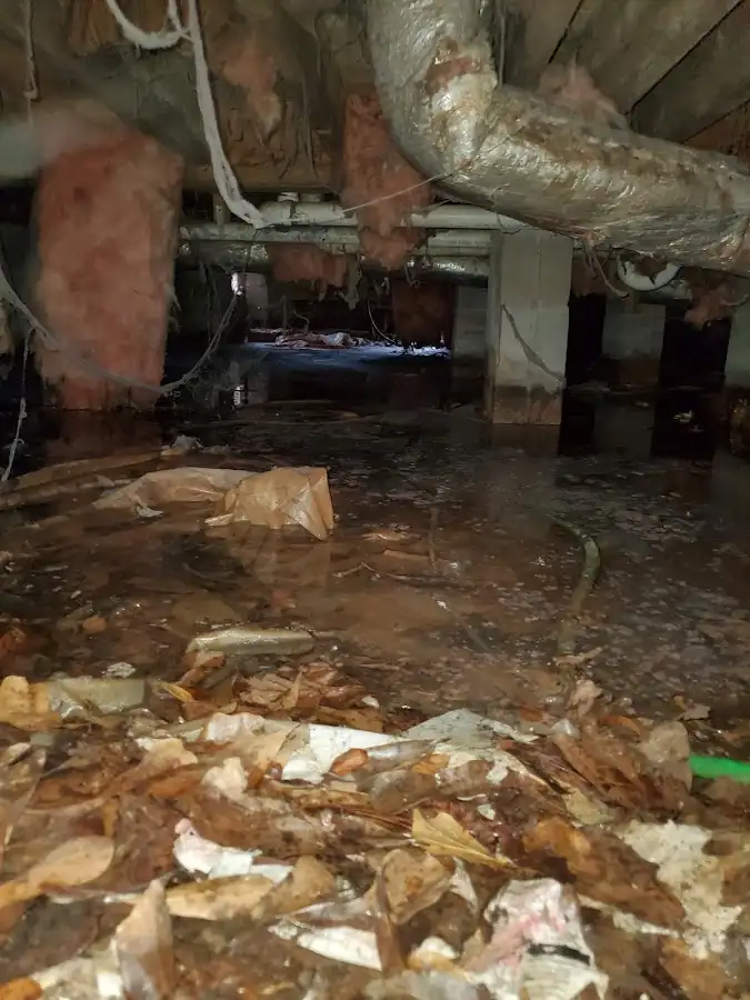 Crawl space flood assessment for Leak Detection & Repair in Geneva