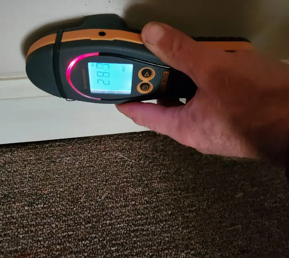 Moisture detection at baseboard during Mold Inspection & Testing in Geneva